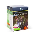 Kép 3/3 - Garden of Eden 11236B SZOLÁR LÁMPA