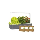 Kép 3/3 - Smart Garden 9, Szürke - 9db kapszulával
