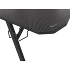 Kép 10/15 - Genesis Holm 510 RGB 160X75 Gaming Desk