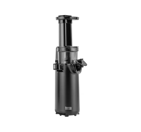 Slow juicer