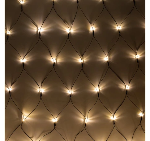 Rebel outdoor Christmas lights - network