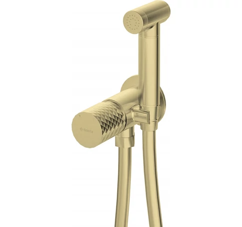 Concealed bidet faucet with bidetta handset