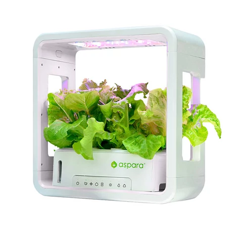 Intelligens virágcserép támogatja a GrowGreen Stylist Lite Smart Growertől