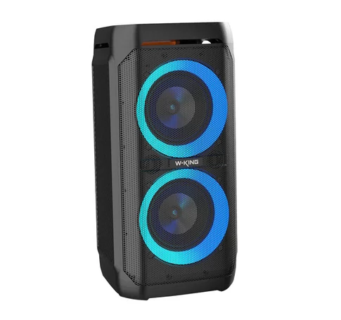 Wireless Bluetooth Speaker W-KING T11 100W (black)