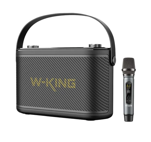 Wireless Bluetooth Speaker W-KING H10 S 80W + microphone (black)