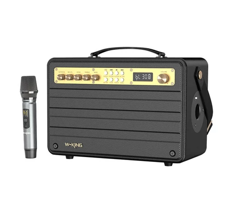 Wireless Bluetooth Speaker W-KING K6S 100W + microphone (black)