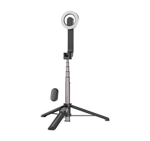 Telesin magnetic selfie stick