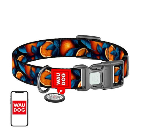 Waudog "Oranges" nylon dog collar with QR code, size XL