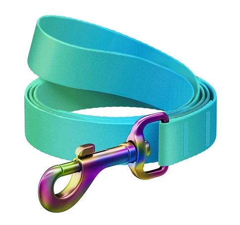WAUDOG gradient nylon dog leash, 15mm wide, 122cm long, blue