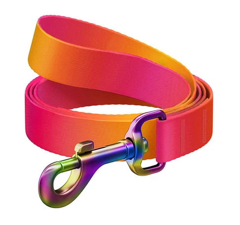 WAUDOG gradient nylon dog leash, 15mm wide, 122cm long, orange