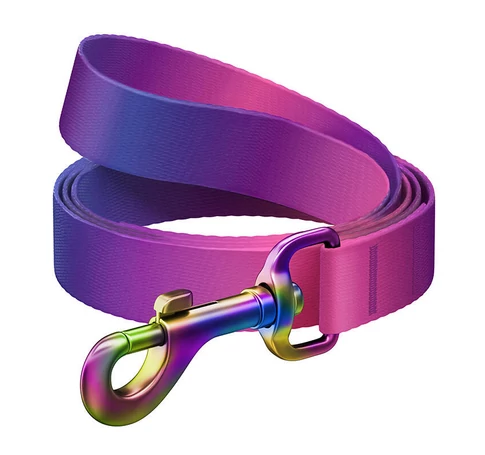 WAUDOG gradient nylon dog leash, 15mm wide, 122cm long, purple