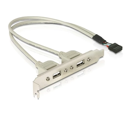 DELOCK Hátlapi kivezetés > 2x USB 2.0 Type-A