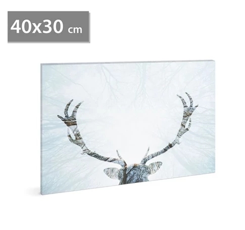 Family Decor 58481A LED-ES FALI KÉP RÉNSZARVAS, 40X30