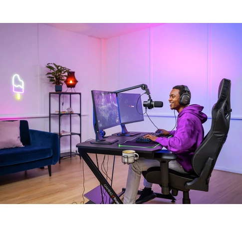 Trust GXT 255+ Onyx Black PC microphone