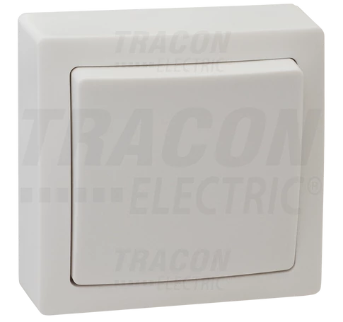Falon kívüli váltókapcsoló  10AX/250VAC, IP20 (106)