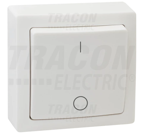 Falon kívüli kétpólusú kapcsoló  10AX/250VAC, IP20 (102)