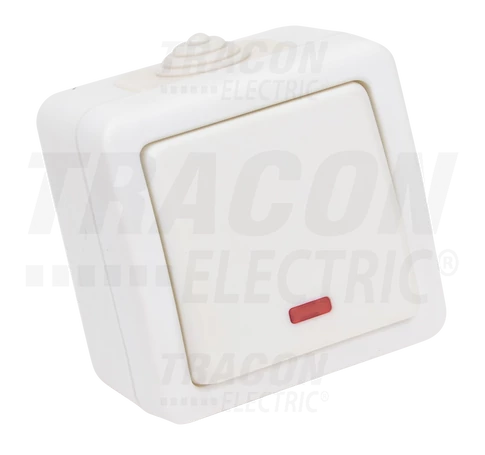 Falon kívüli váltókapcsoló, jelzőfénnyel  10AX/250VAC, IP54,(106)