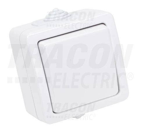 Falon kívüli váltókapcsoló  10AX/250VAC, IP54, (106)