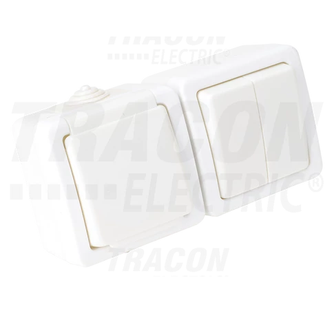 Falon kívüli 2-áramkörös kapcsoló+csatlakozóaljzat  16A/250VAC, IP54, (105)